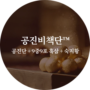 공진비책단™ 공진단 + 9중9포 흑삼 + 숙지황