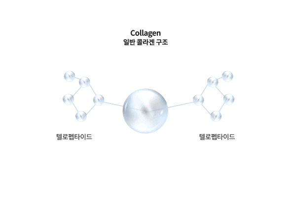 collagen 일반 콜라겐 구조 효소처리한 텔로펩타이드